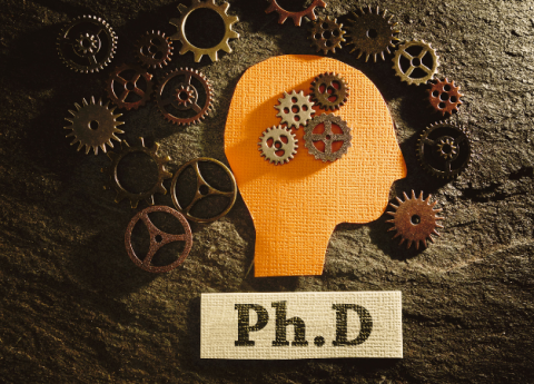 Predoctoral Fellowship Opportunity at Interfibio – Apply Now!